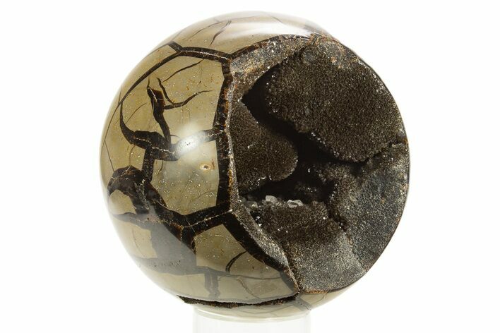 Polished, Septarian Geode Sphere - Madagascar #323476